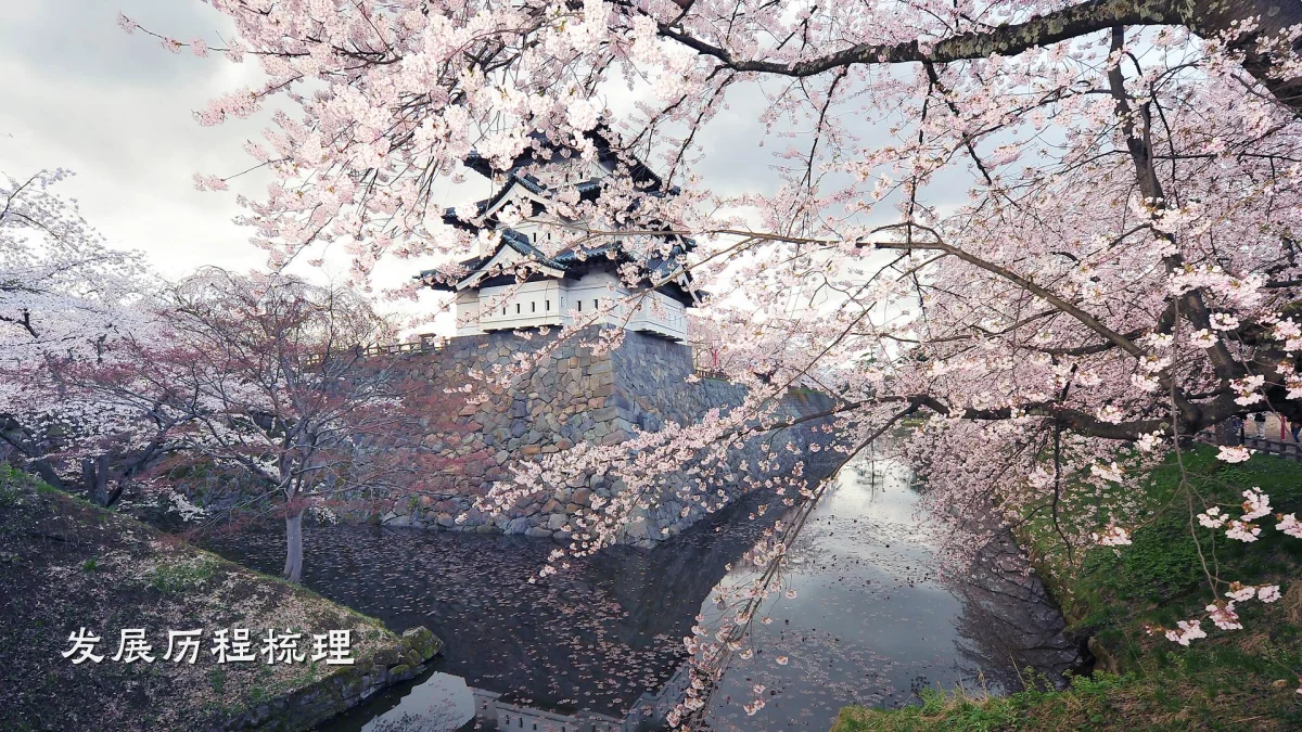 发展历程梳理