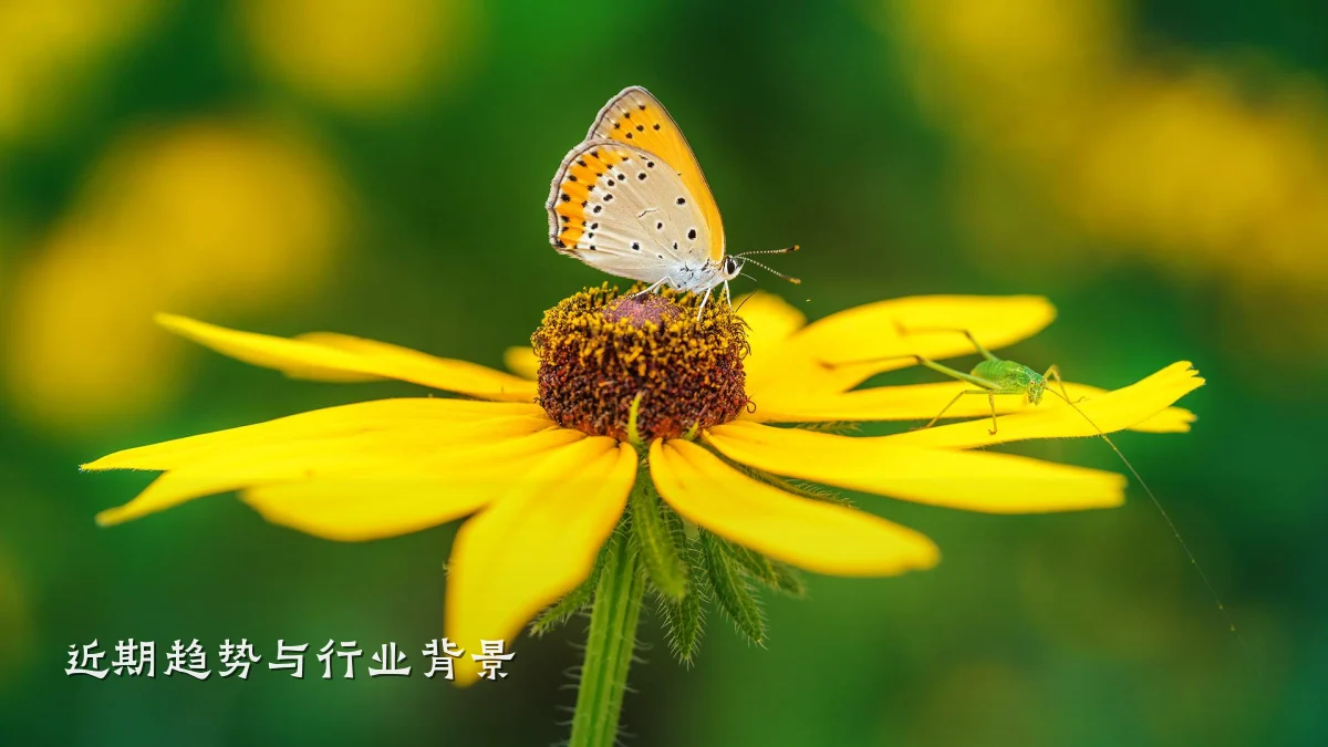 近期趋势与行业背景
