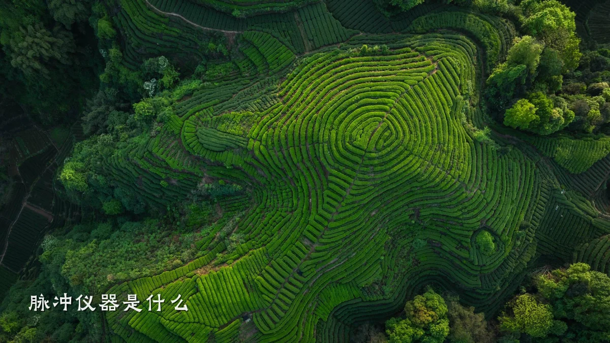 脉冲仪器是什么