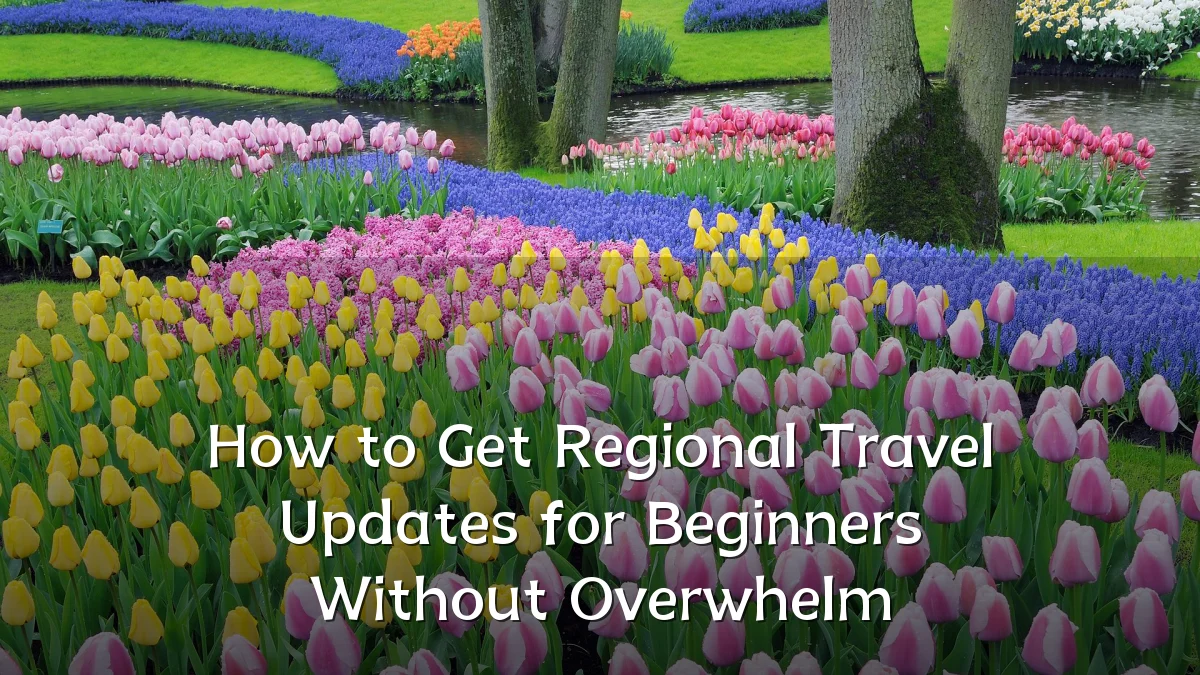 How to Get Regional Travel Updates for Beginners Without Overwhelm
